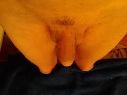 ik zoek oudere hobby masseur. Omg Bollenstreek Amstelveen Leiden Haarl