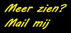 Ik wil gewoon vreemdgaan en vandaag nog!
