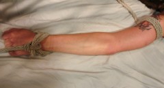 Mijn meester is helaas overleden en zoek hierbij een nieuwe die mij ka