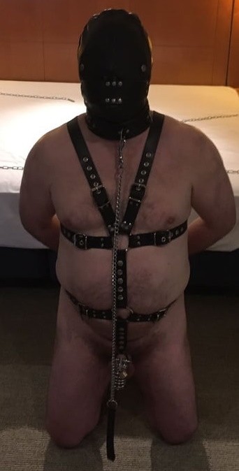 Deze slaaf wil u gaan dienen! 