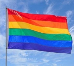 Vindt jij het ook lastig om een homorelatie te vinden?