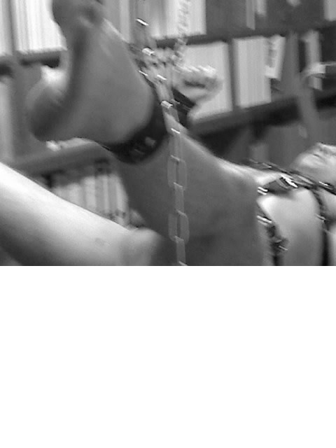 Slaaf zoekt meester voor echte slavernij