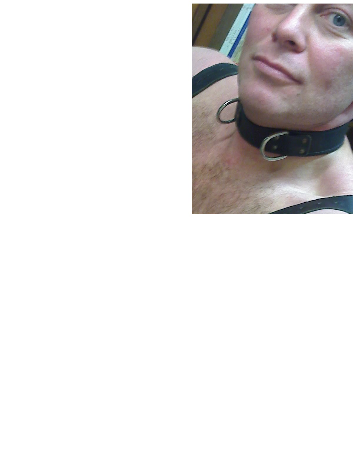 Slaaf zoekt meester voor echte slavernij