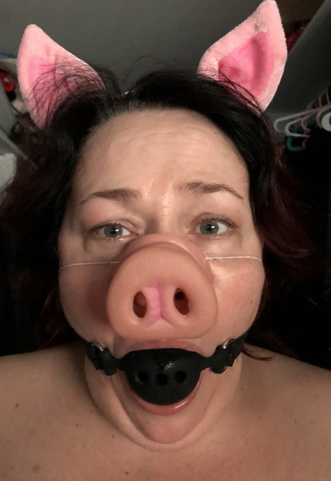 Huisvarkentje op zoek naar baasje