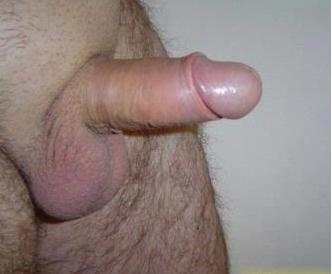 Gigolo Erik aangeboden