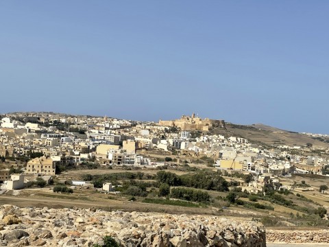 (M29) Zoekt leuke (Vmax35)