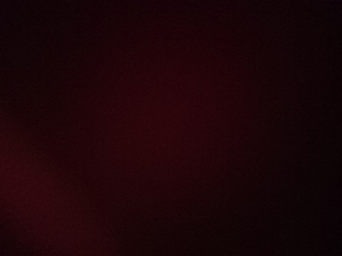 Zoek jij naar een jonge slaaf?