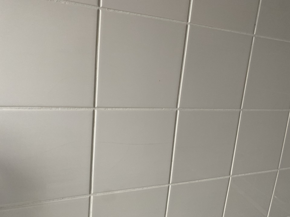 Ik zoek een vrouw waar de gens ver licht op een goede manier 