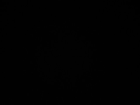 Slaaf zoekt Meesteres