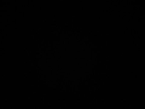 Slaaf zoekt Meesteres