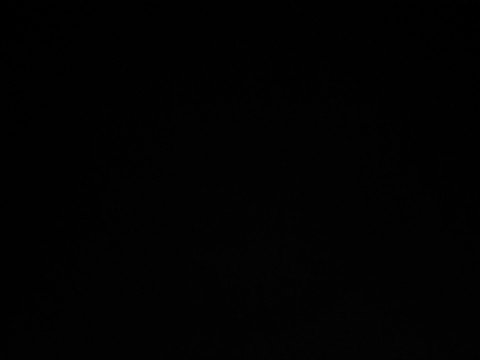 Wie wil mijn eerste Meesteres worden?