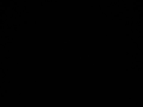 Slaaf zoekt Meesteres