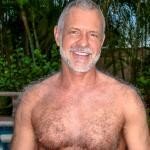 iemand interesse in een grijzen postduif? — foto 1