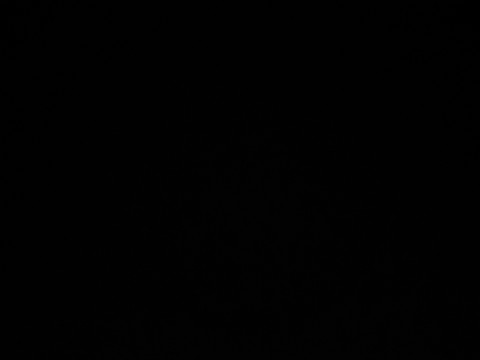 Slaaf zoekt Meesteres