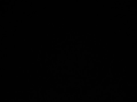 Slaaf zoekt Meesteres