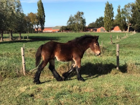 Al 61 maar nog steeds gedreven