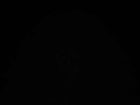 Slaaf zoekt Meesteres