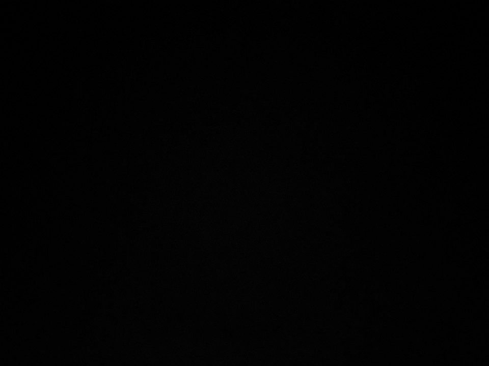 Slaaf zoekt Meesteres