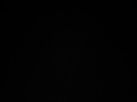 Slaaf zoekt Meesteres