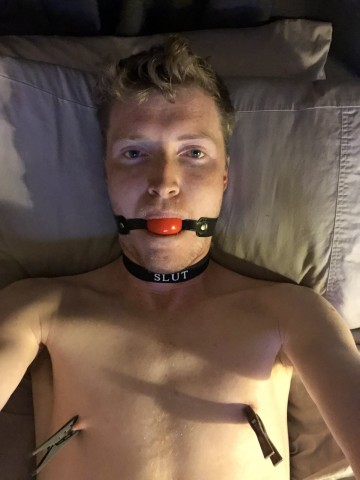 Op zoek naar een Meester of Meesteres.