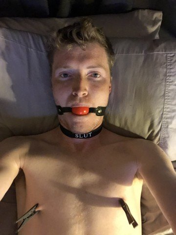 Op zoek naar een Meester of Meesteres.