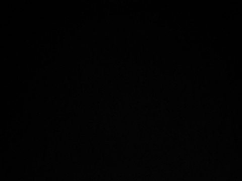 Slaaf zoekt Meesteres