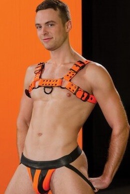 Ik verlang om slaaf te zijn voor een strenge Meester