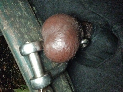 Ebony slaaf zoekt blanke meesteres