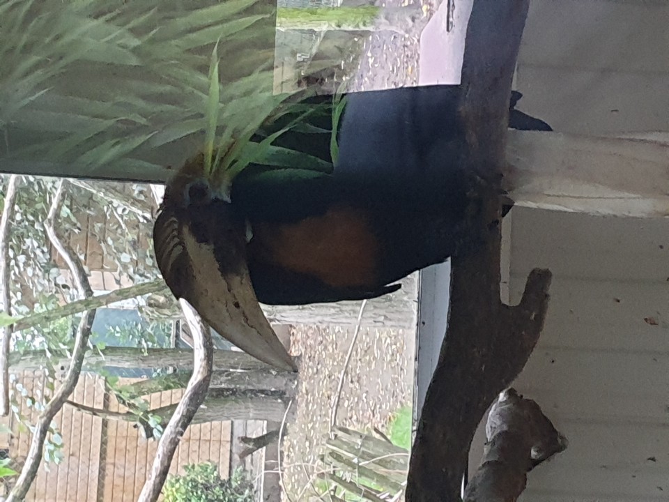 Welke vrouw zoek dit