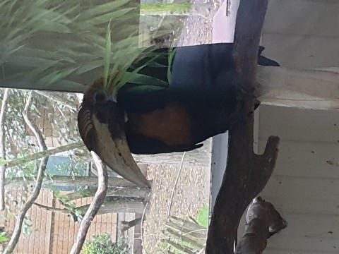 Welke vrouw zoek dit