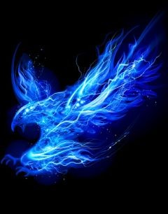 Meester / Dominant zoekt een leuke onderdanige slavin