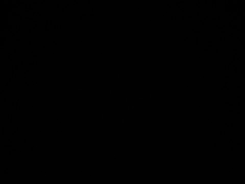 Slaaf zoekt Meesteres