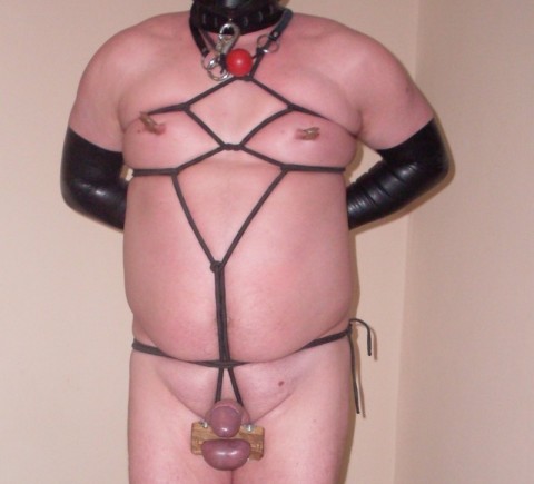 Verdere info kan gevraagd worden via mail.