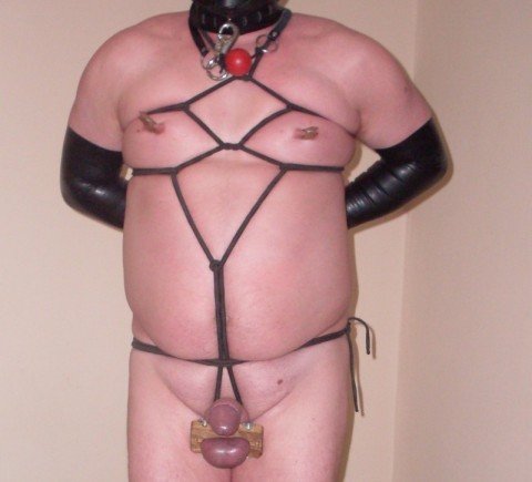 Verdere info kan gevraagd worden via mail.