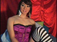 Heerlijke geile shemales!!!!!!!