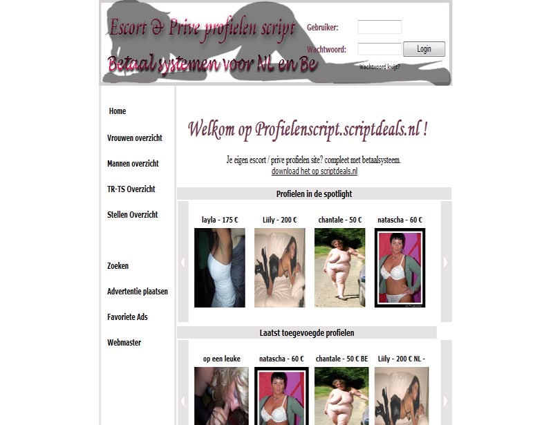 Start je eigen (escort/prive) profielen website! en verdien geld aan i