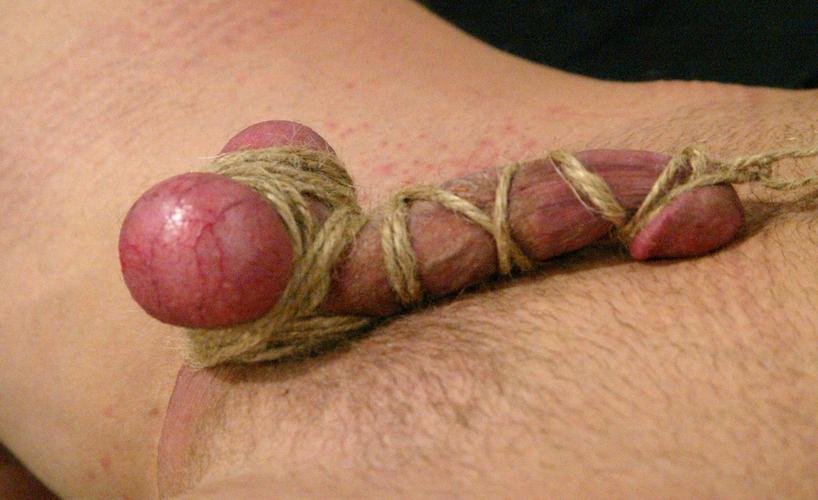 gewillige slaaf gezocht 