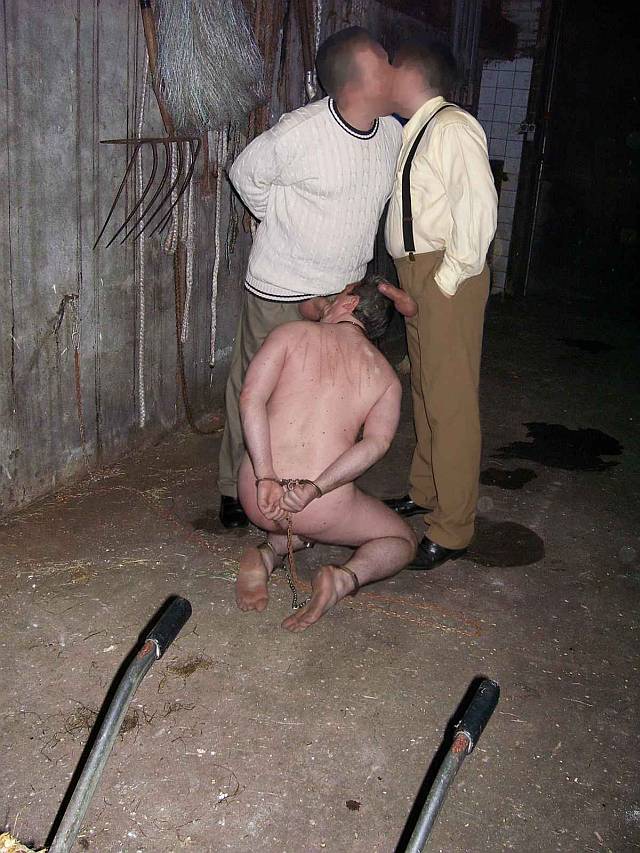 Oudere Meester gezocht