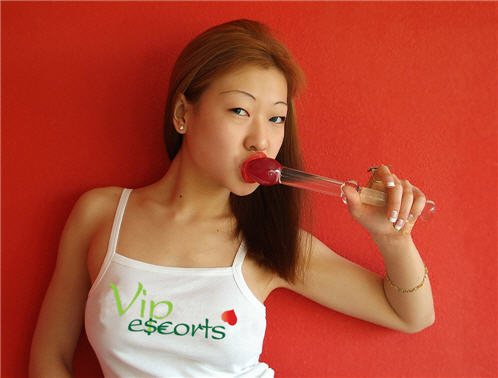 Nu nog een sexy escort voor de nacht!