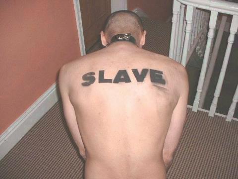 zoek MEESTER voor 247365