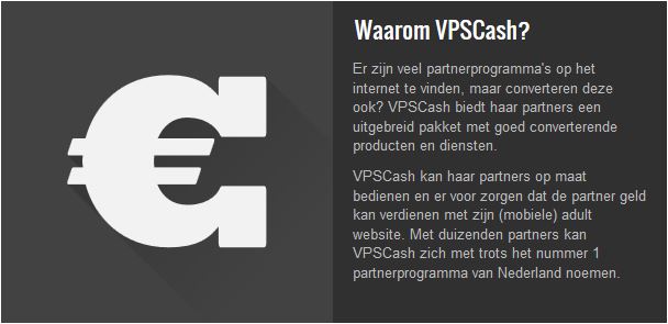 Direct aan het werk als Webmaster bij VPSCash?          .