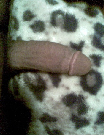 Beffen in DEN HAAG 06-43 71 12 31