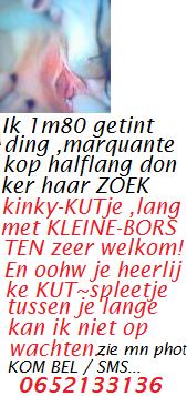 GEZOCHT: Kinky (single) KUTje ,ik 1m80 getint heb wat ideen.wijn/weed 