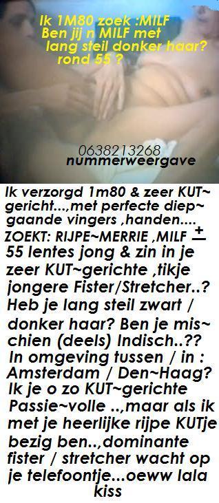 Ben jij RIJPE merrie ongeveer 50/55 lentes  jong? Hier je jongere 1m80